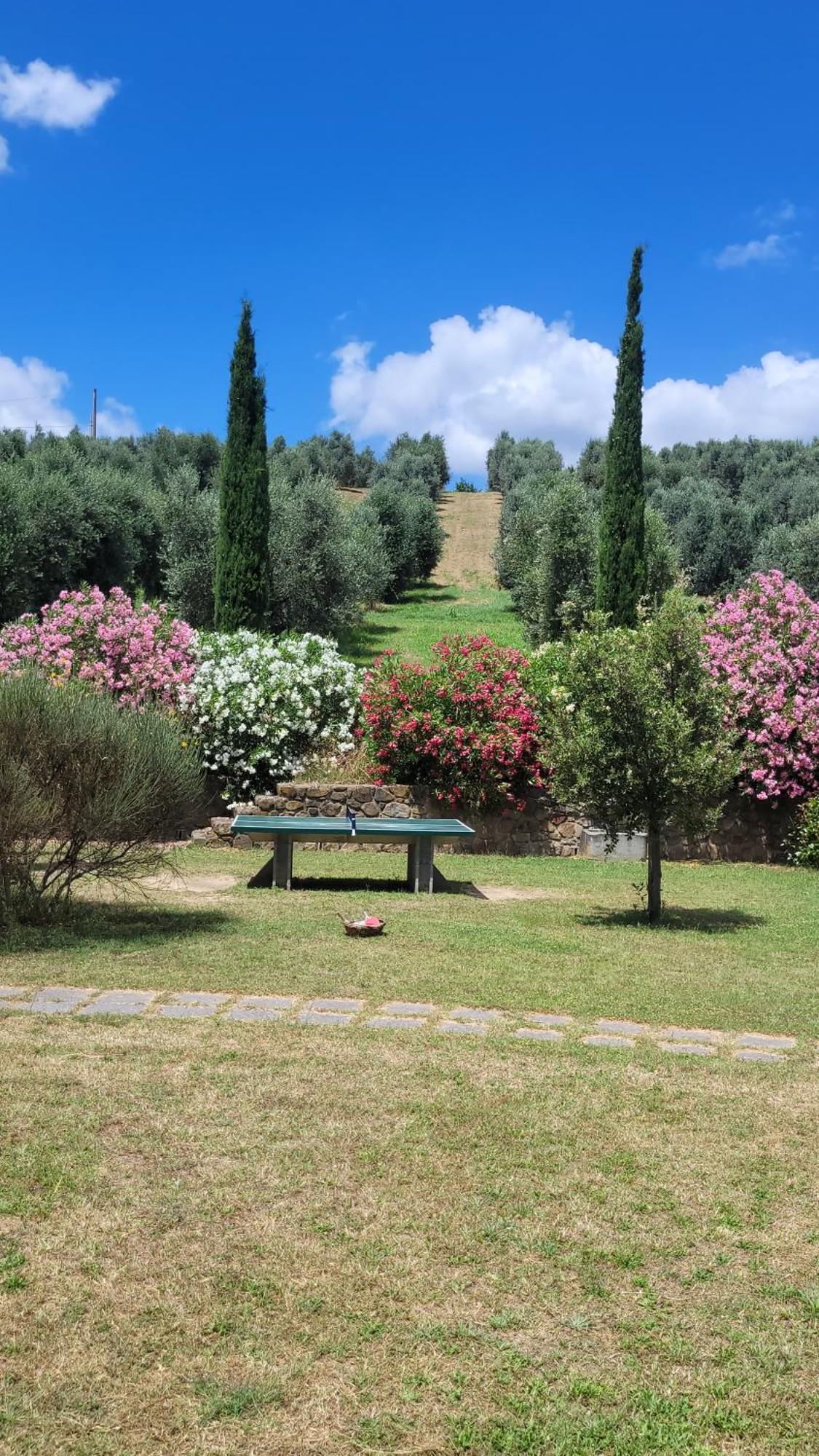Agriturismo Podere Casalone Limite Ngoại thất bức ảnh