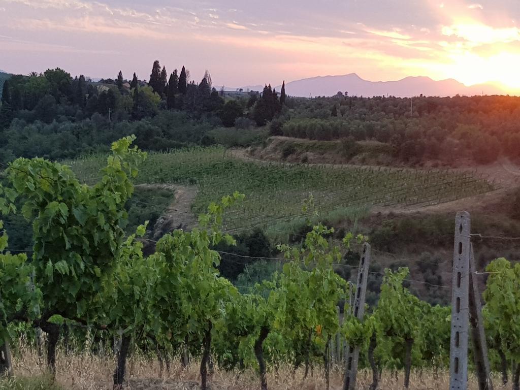 Agriturismo Podere Casalone Limite Ngoại thất bức ảnh